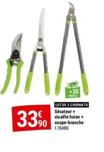 Gamm vert cisaille haies + coupe-branche offre