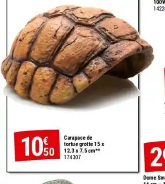 Gamm vert Carapace de tortue grotte offre