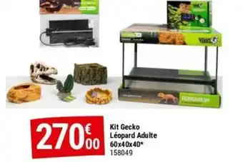Gamm vert Kit Gecko Léopard Adulte 60x40x40 offre