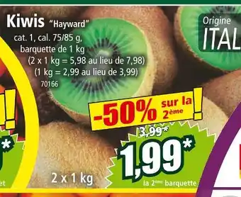 Norma Kiwis “Hayward” offre