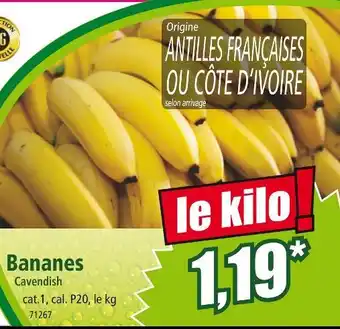 Norma Bananes Cavendish offre
