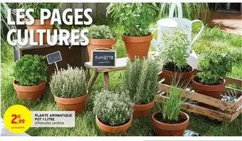 Intermarché Plante Aromatique Pot 1 Litre offre