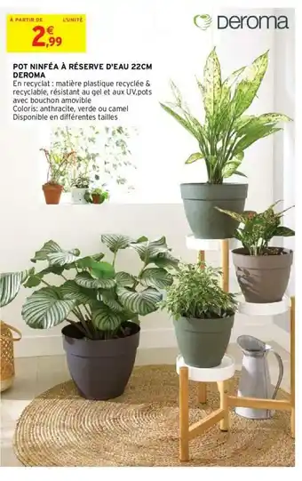 Intermarché Pot Ninféa A Réserve D'eau 22cm Deroma offre