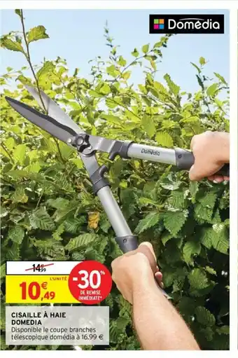 Intermarché Cisaille a Haie Domedia offre