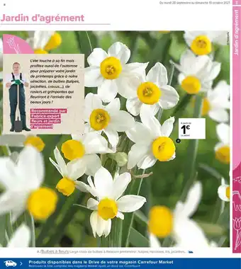 Carrefour Market Jardin D'angrément offre
