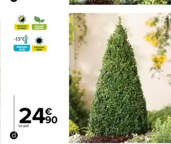 Carrefour Market Buis Pyramide offre