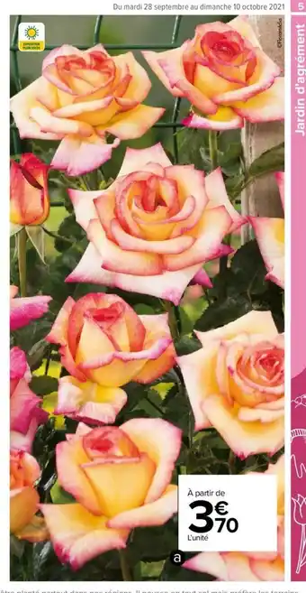 Carrefour Market Rosier offre