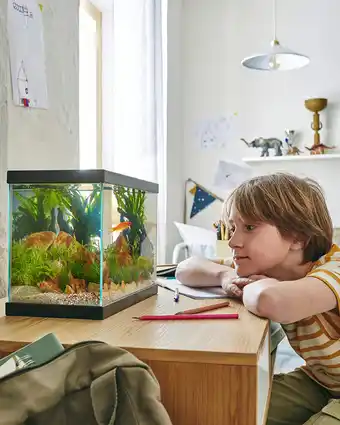 Jardiland Aquarium pour poisson Start 35 noir Pure Family offre