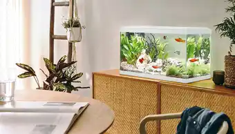Jardiland Aquarium pour poisson Tropical 60 blanc Pure Family offre