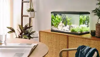 Jardiland Aquarium pour poisson Tropical 60 gris Pure Family offre