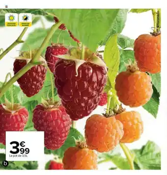 Carrefour Market Framboisier offre