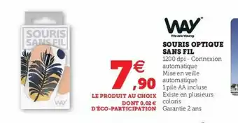 Super U Souris Optique Sans Fil offre