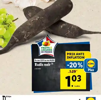 Lidl Radis noir offre