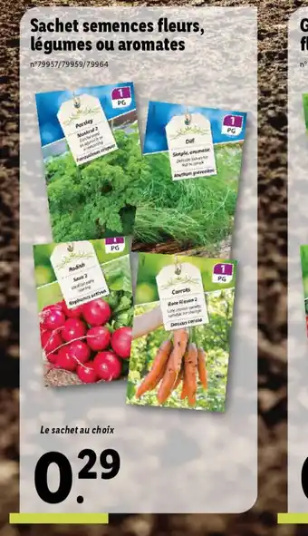 Lidl Sachet semences fleurs, légumes ou aromates offre