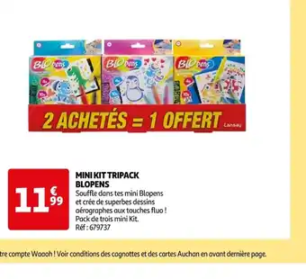 Auchan MINI KIT TRIPACK BLOPENS offre