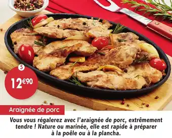 Maximo Araignée de porc offre