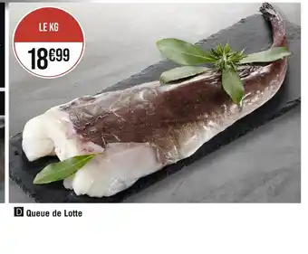 Queue de Lotte