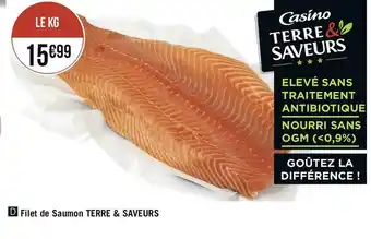 Casino filet de saumon