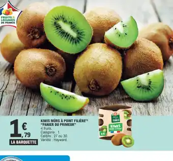 KIWIS MURS À POINT FILIÈRE