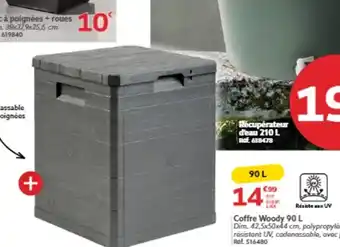 Coffre Woody 90 L