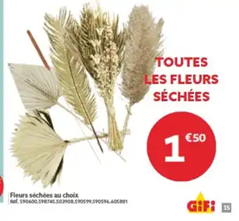 Gifi Fleurs séchées au choix offre