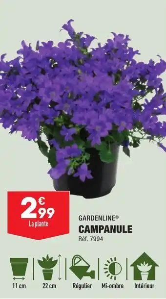 ALDI GARDENLINE® CAMPANULE offre