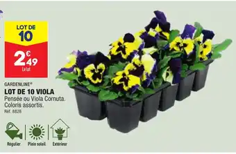 ALDI LOT DE 10 VIOLA offre
