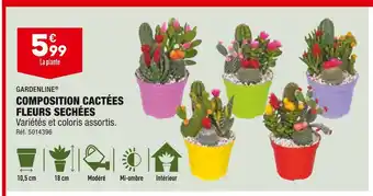 ALDI GARDENLINE COMPOSITION CACTÉES FLEURS SECHÉES offre