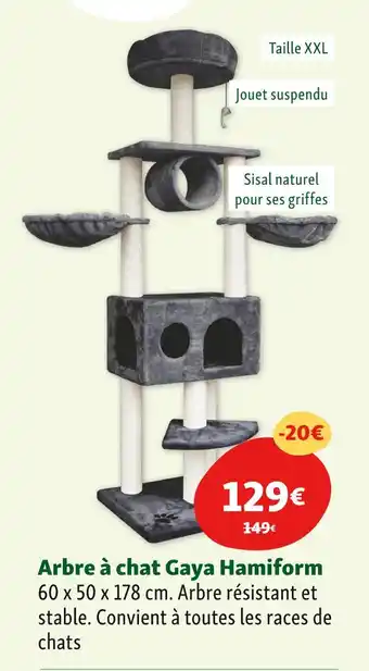 Maxi Zoo Hamiform Arbre à chat Gaya offre