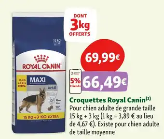 Maxi Zoo Royal Canin Croquettes offre