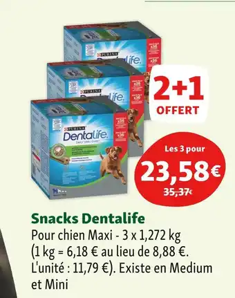 Maxi Zoo Dentalife Snacks offre