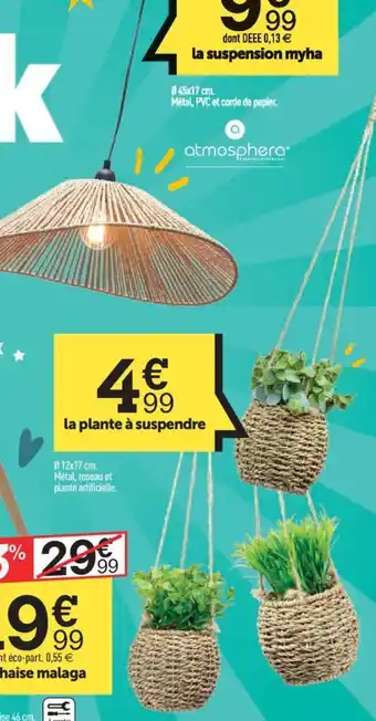 Centrakor La plante à suspendre offre