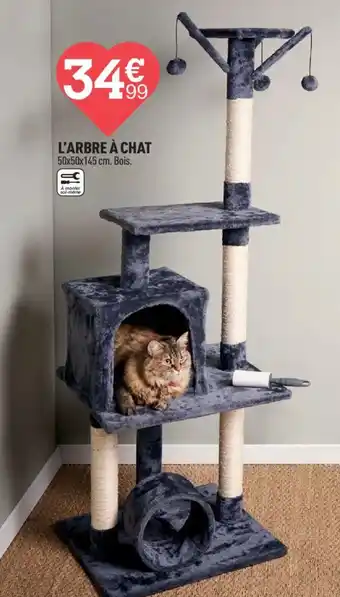 Centrakor L'ARBRE À CHAT offre