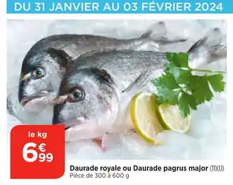 Bi1 Daurade royale ou Daurade pagrus major (11)(U) Pièce de 300 à 600 g offre