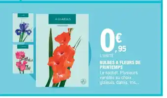 E.Leclerc BULBES A FLEURS DE PRINTEMPS offre