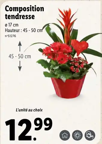 Lidl Composition tendresse offre