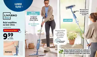 Lidl Balai serpillière ou lave-vitres offre