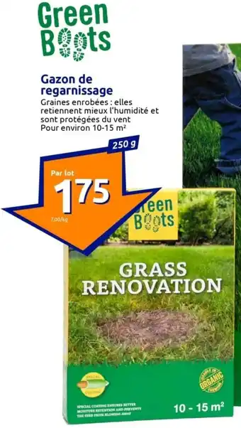 Action Gazon de regarnissage offre