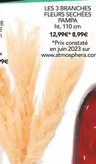 Stokomani Atmosphera LES 3 BRANCHES FLEURS SECHÉES PAMPA offre