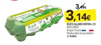 Naturéo œufs calibre moyen x 10