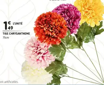 Tige chrysantheme