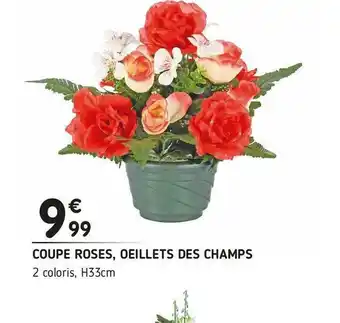Coupe roses, oeillets des champs