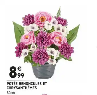 L'incroyable Potée renoncules et chrysanthèmes offre