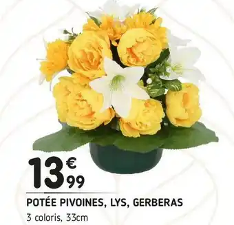 L'incroyable Potée pivoines, lys, gerberas offre