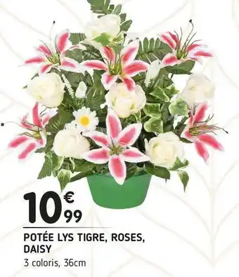 Potée lys tigre, roses, daisy