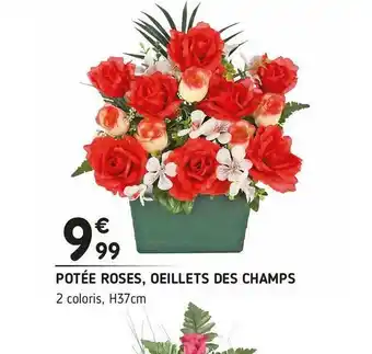 L'incroyable Potée roses, oeillets des champs offre