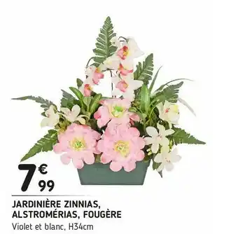 L'incroyable Jardinière zinnias, alstromérias, fougère offre