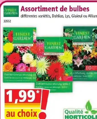 Norma Assortiment de bulbes offre