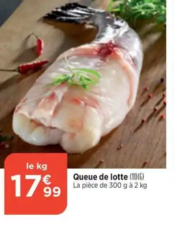 Queue de lotte