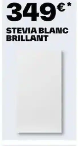 Brico Dépôt STEVIA BLANC BRILLANT offre